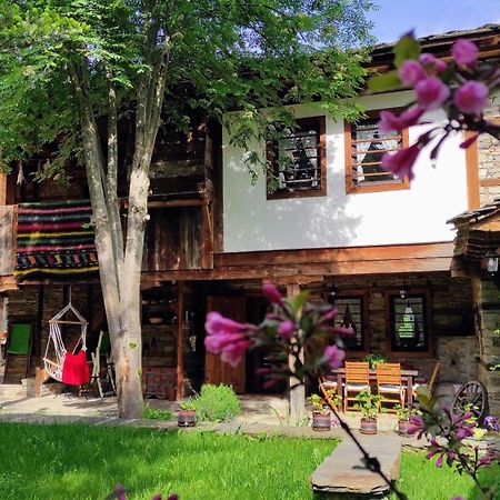 Kalinia Guesthouse B&B Kovačevica Exteriér fotografie