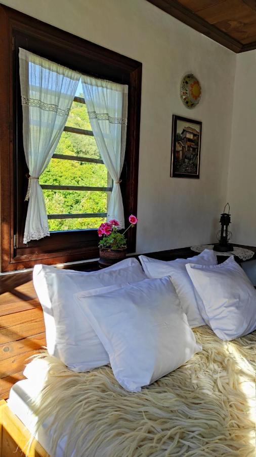 Kalinia Guesthouse B&B Kovačevica Exteriér fotografie