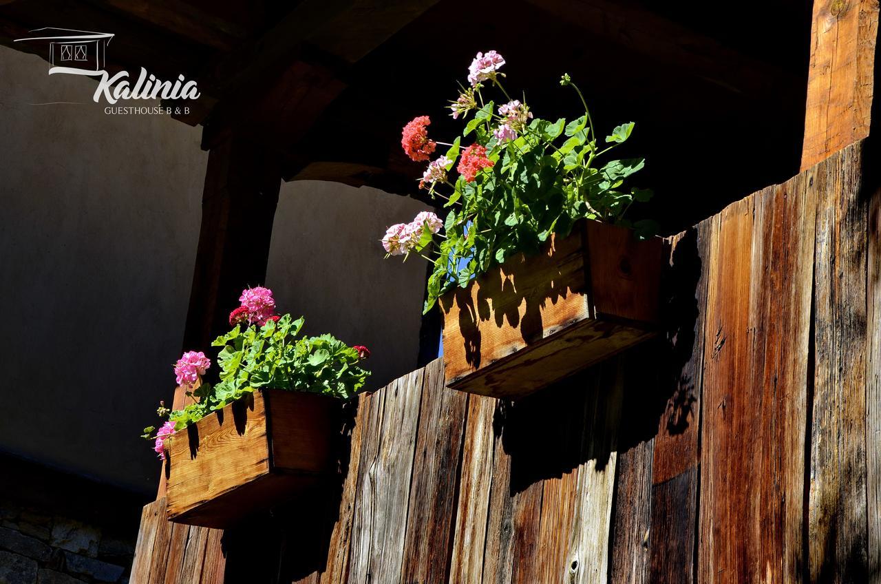 Kalinia Guesthouse B&B Kovačevica Exteriér fotografie