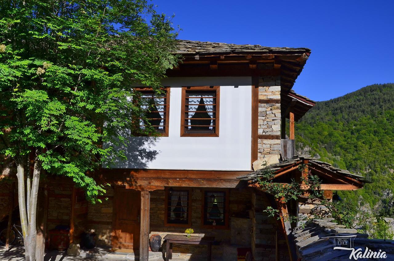 Kalinia Guesthouse B&B Kovačevica Exteriér fotografie