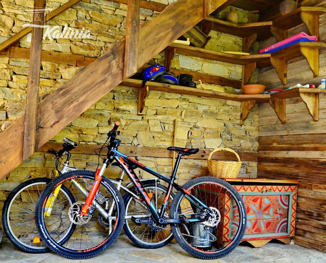 Kalinia Guesthouse B&B Kovačevica Exteriér fotografie