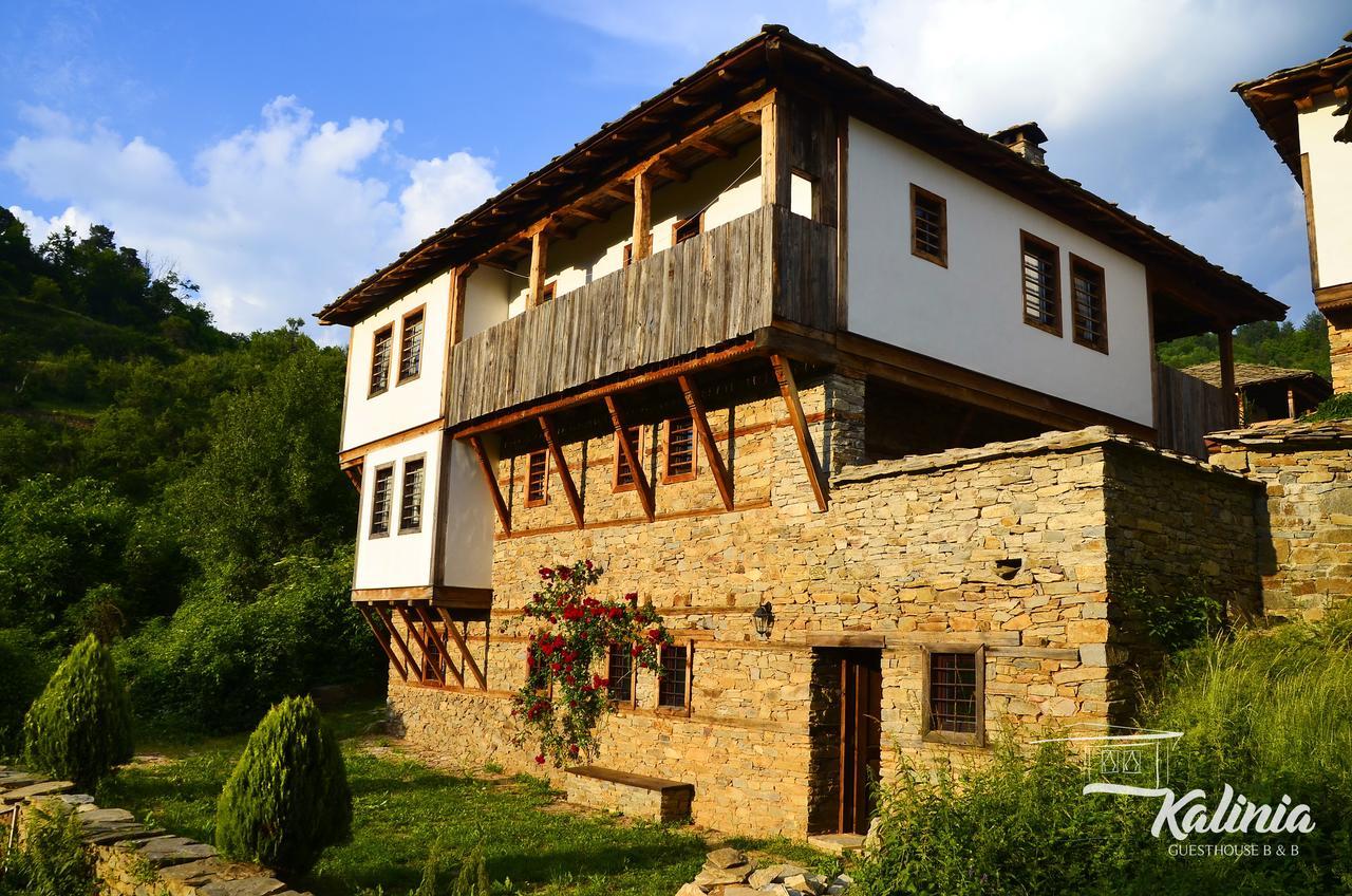Kalinia Guesthouse B&B Kovačevica Exteriér fotografie