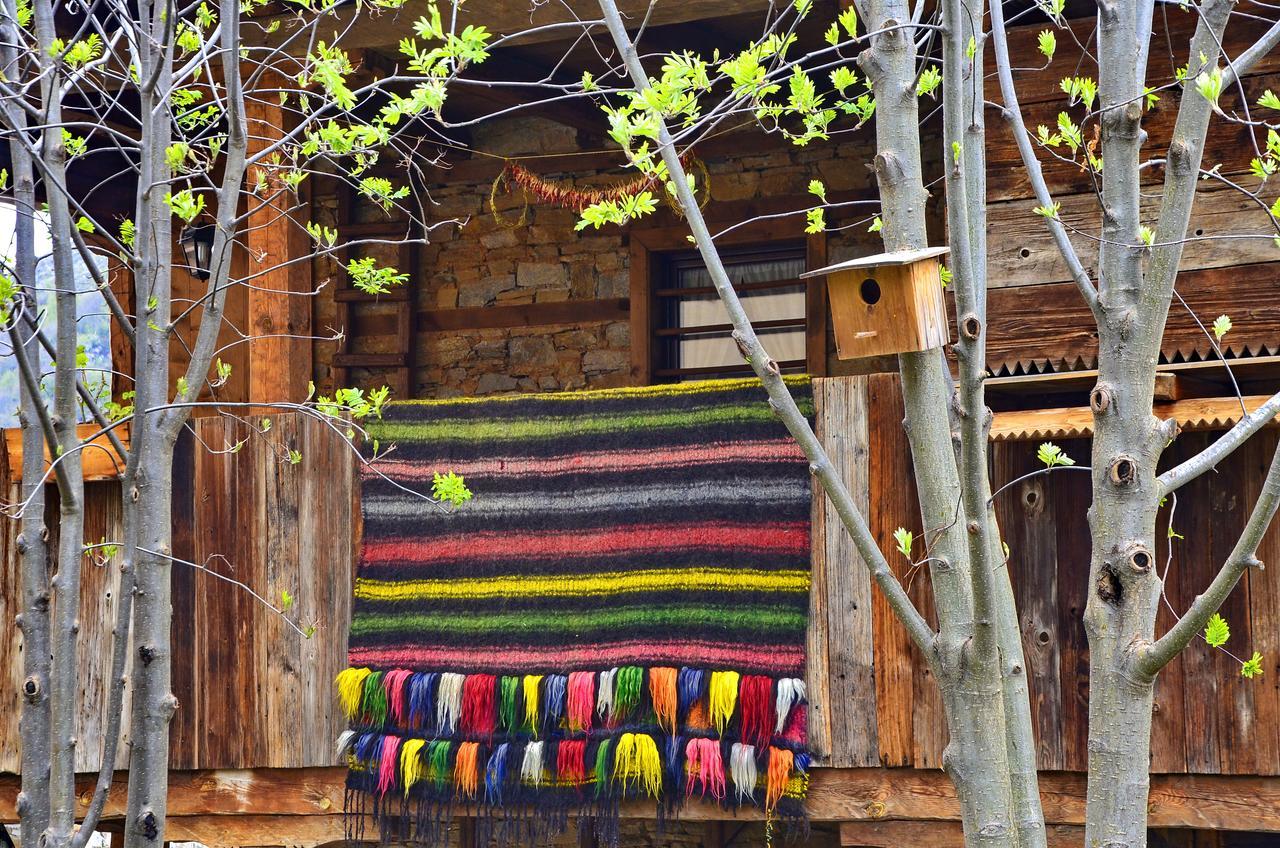 Kalinia Guesthouse B&B Kovačevica Exteriér fotografie