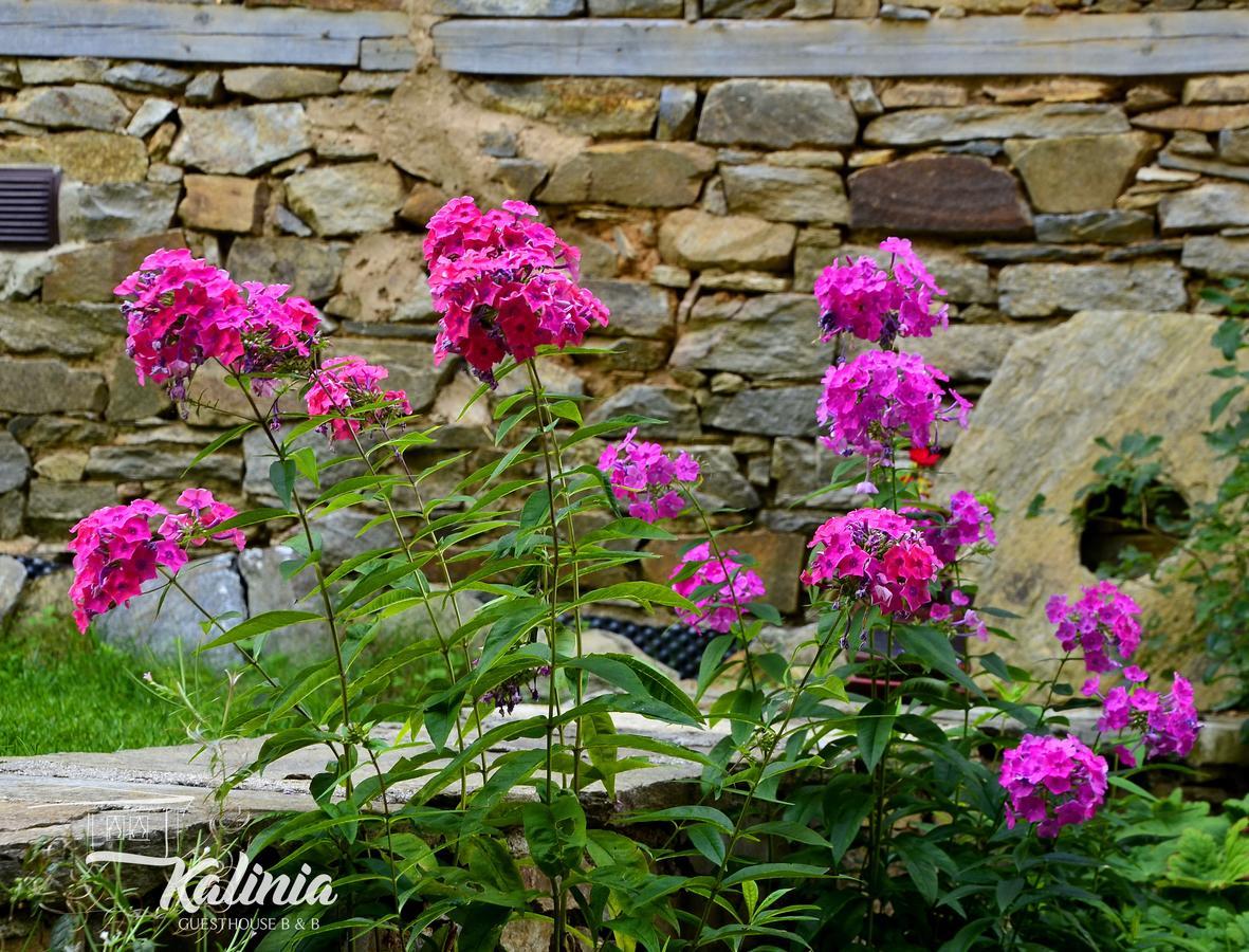 Kalinia Guesthouse B&B Kovačevica Exteriér fotografie