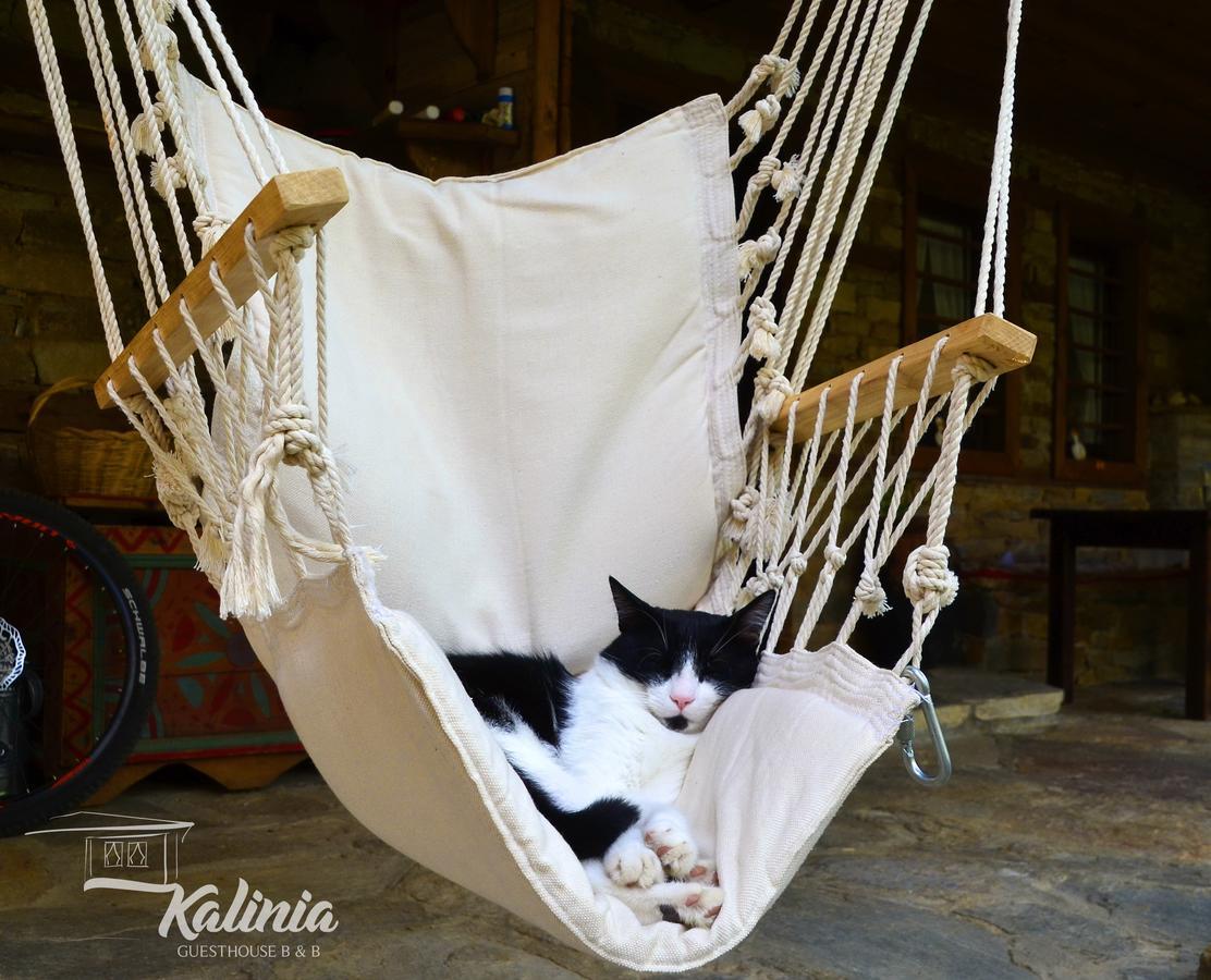Kalinia Guesthouse B&B Kovačevica Exteriér fotografie