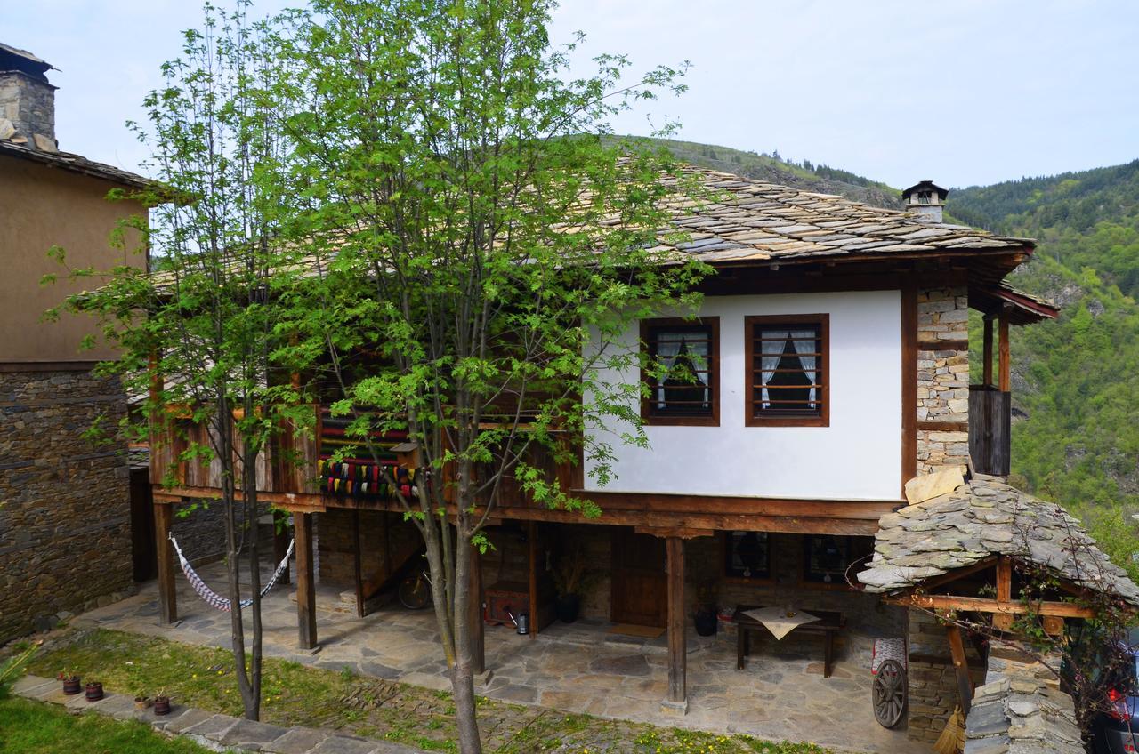 Kalinia Guesthouse B&B Kovačevica Exteriér fotografie
