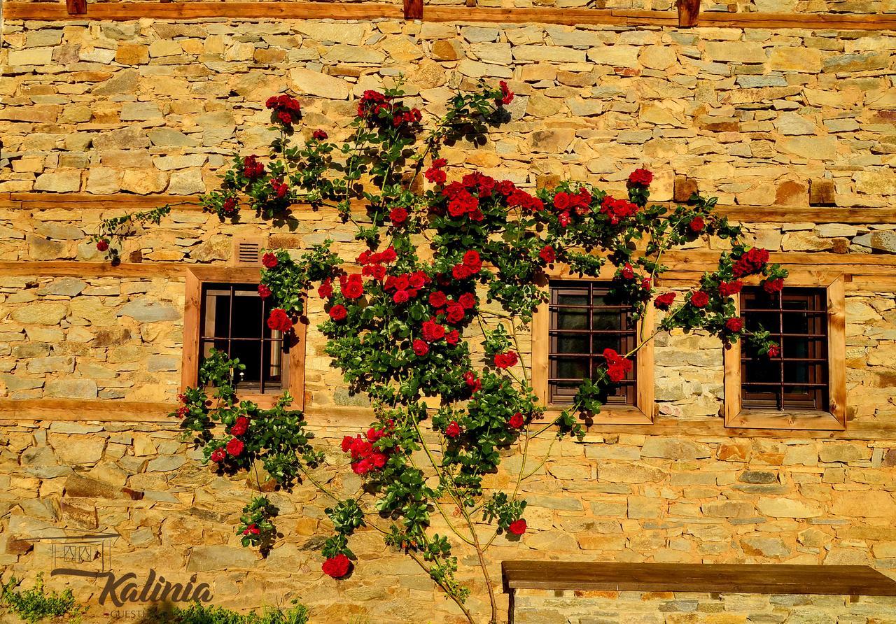 Kalinia Guesthouse B&B Kovačevica Exteriér fotografie