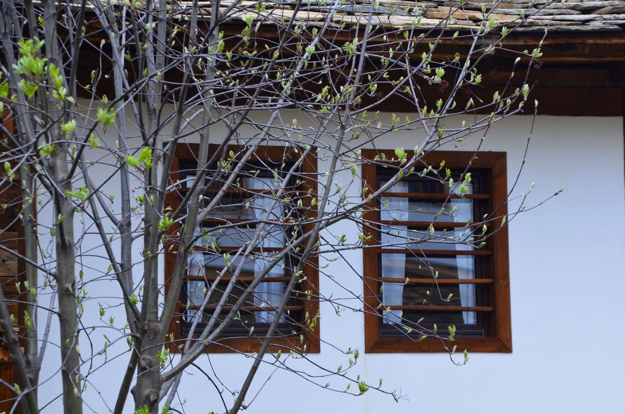 Kalinia Guesthouse B&B Kovačevica Exteriér fotografie