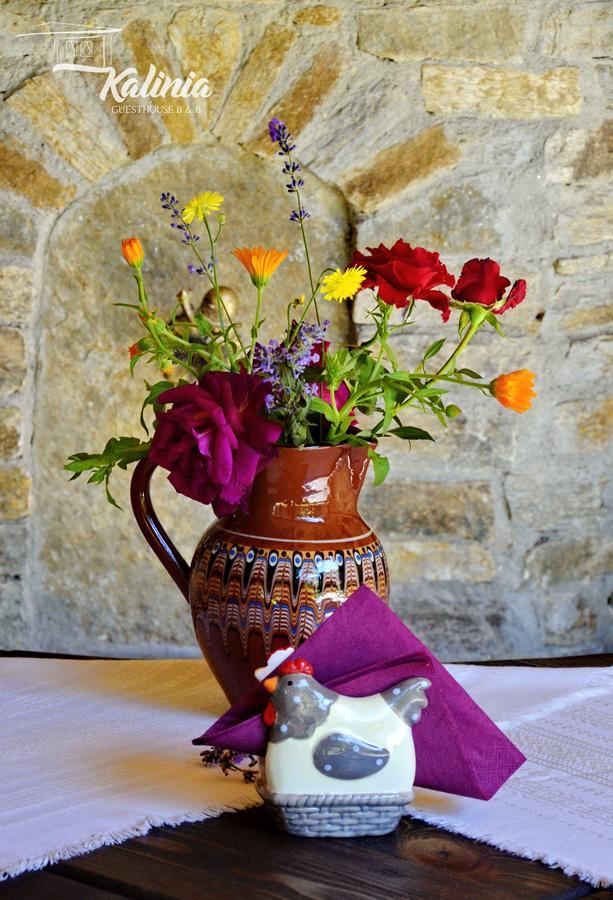 Kalinia Guesthouse B&B Kovačevica Exteriér fotografie