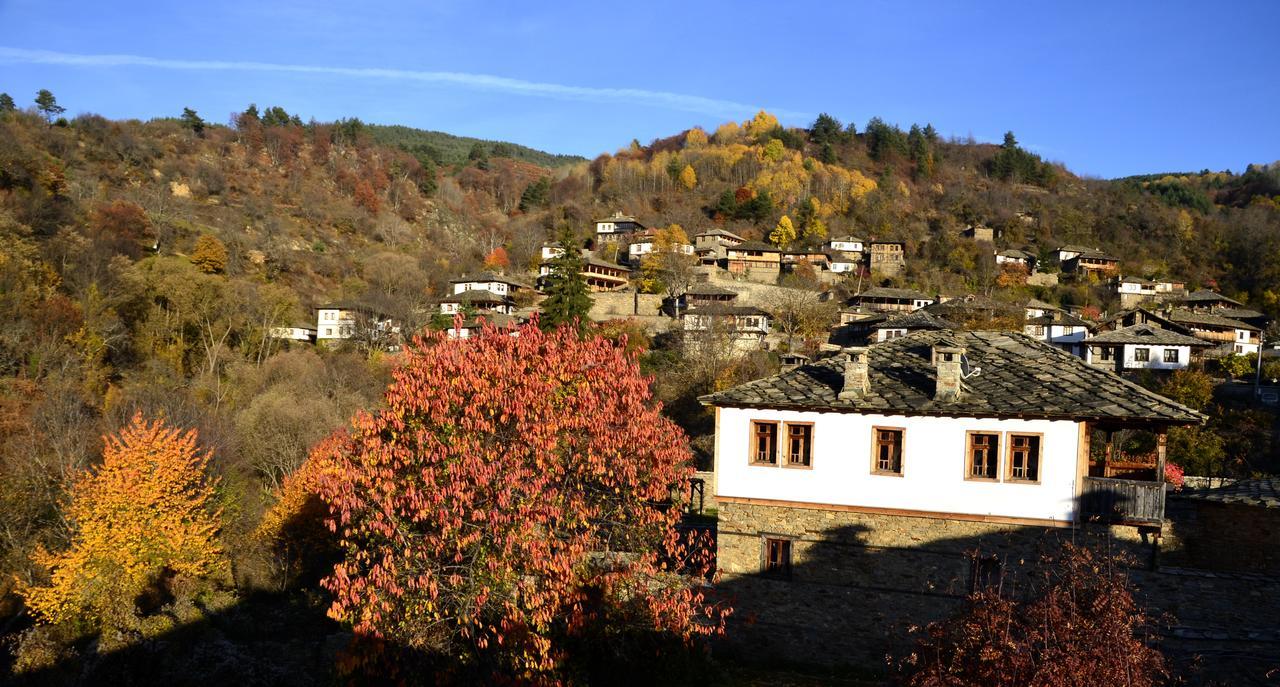 Kalinia Guesthouse B&B Kovačevica Exteriér fotografie