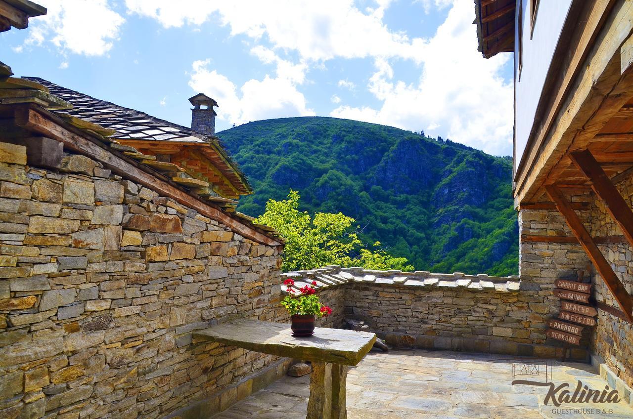 Kalinia Guesthouse B&B Kovačevica Exteriér fotografie