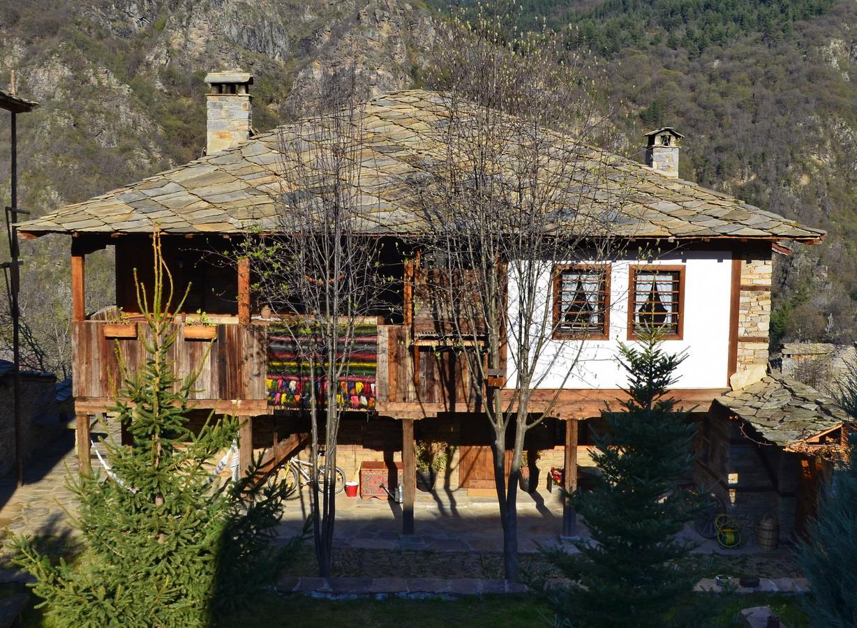 Kalinia Guesthouse B&B Kovačevica Exteriér fotografie