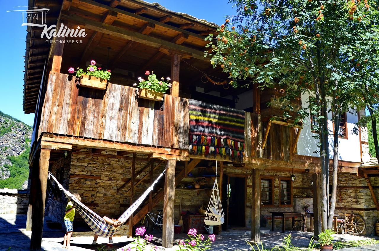 Kalinia Guesthouse B&B Kovačevica Exteriér fotografie