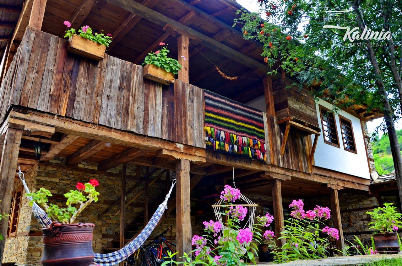Kalinia Guesthouse B&B Kovačevica Exteriér fotografie
