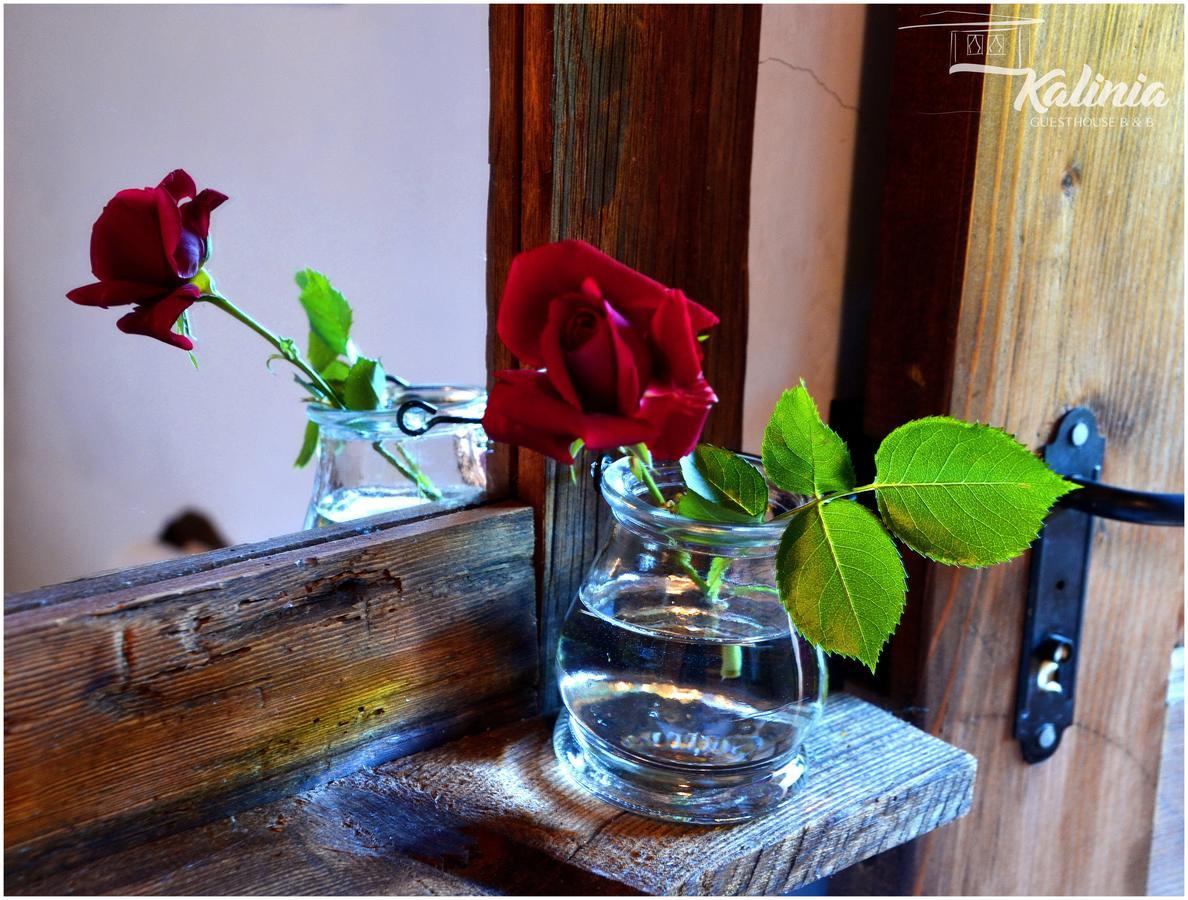 Kalinia Guesthouse B&B Kovačevica Exteriér fotografie