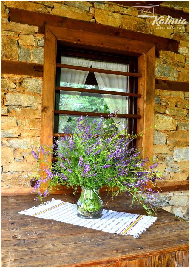 Kalinia Guesthouse B&B Kovačevica Exteriér fotografie